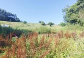 Non-developable land for sale on España, Oruña, ref: TR313126 photo