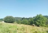 Non-developable land for sale on España, Oruña, ref: TR313126 photo