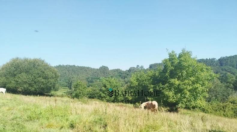 Cantabria - Oruña - 7673m2