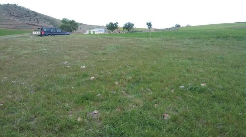 Ciudad Real - Granátula de Calatrava - 40000m2