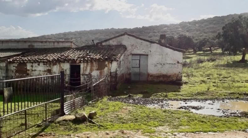 Córdoba - Фуэнте Овехуна - 257600m2