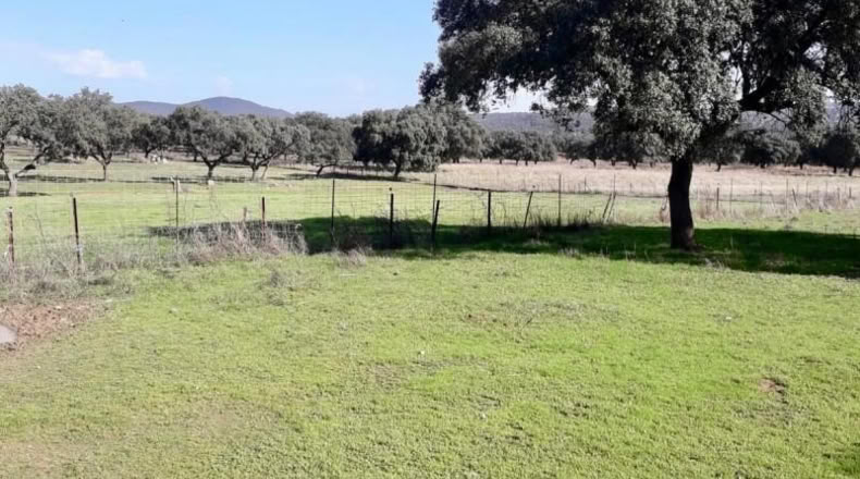 Córdoba - Фуэнте Овехуна - 257600m2