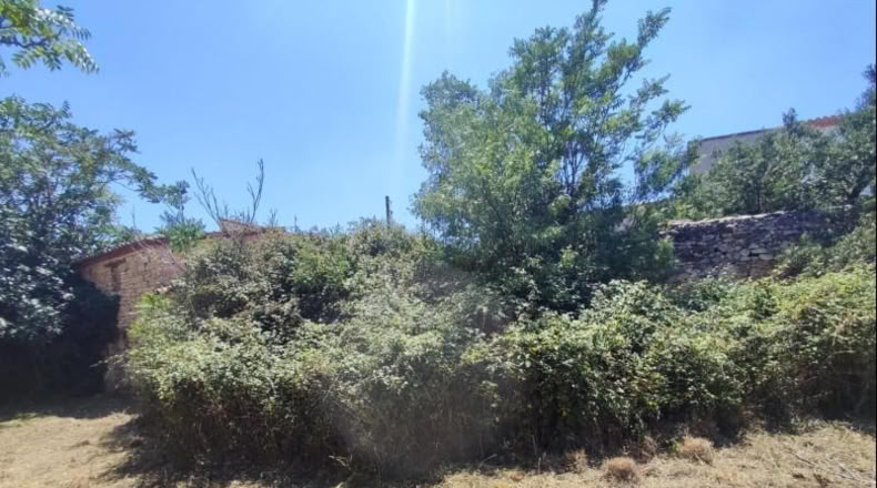 Comunidad de Madrid - El Molar - 443m2