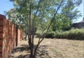 Sòl urbà en venda a la España, El Molar, ref.: TR358891 foto
