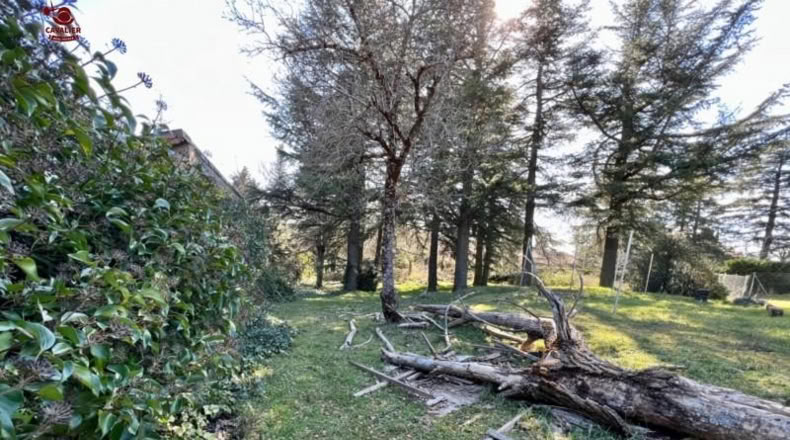 Comunidad de Madrid - Cercedilla - 1123m2