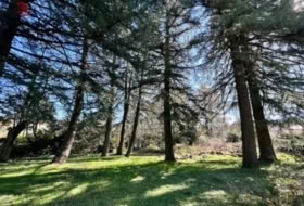 Cercedilla 1123&nbsp;m² 