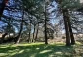 Suelo urbano en venta en la España, Cercedilla, ref: TR221611 foto