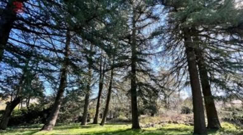Comunidad de Madrid - Cercedilla - 1123m2