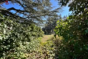 Cercedilla 1123&nbsp;m² 