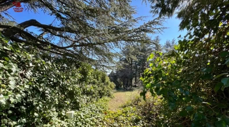 Comunidad de Madrid - Cercedilla - 1123m2