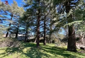 Cercedilla 1123&nbsp;m² 