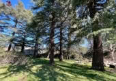 Suelo urbano en venta en la España, Cercedilla, ref: TR221611 foto