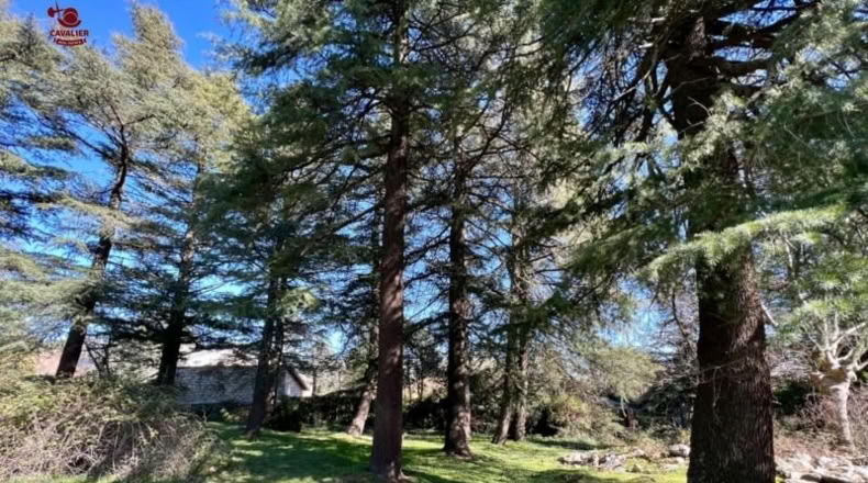 Comunidad de Madrid - Cercedilla - 1123m2