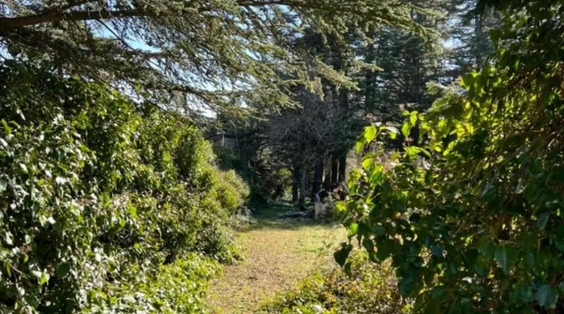Comunidad de Madrid - Cercedilla - 1123m2
