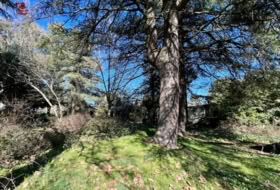 Cercedilla 1123&nbsp;m² 