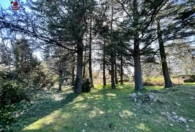 Cercedilla 1123&nbsp;m² 