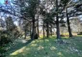 Suelo urbano en venta en la España, Cercedilla, ref: TR221611 foto
