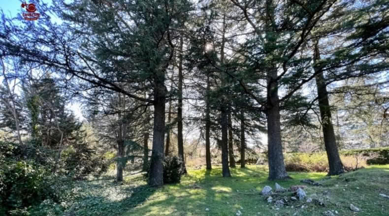 Comunidad de Madrid - Cercedilla - 1123m2