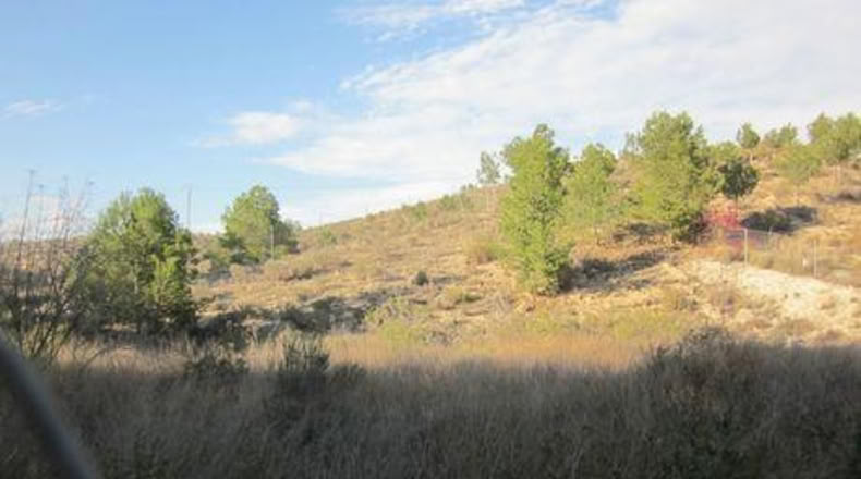 Múrcia - Molina de Segura - 1700m2