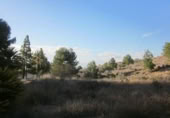 Parcel·la urbanitzable en venda a la España, Molina de Segura, ref.: TR114509 foto
