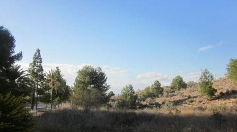 Múrcia - Molina de Segura - 1700m2
