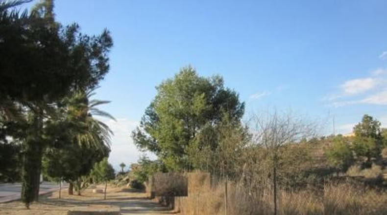Múrcia - Molina de Segura - 1700m2