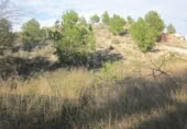 Parcel·la urbanitzable en venda a la España, Molina de Segura, ref.: TR114509 foto