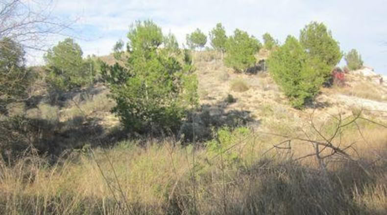 Múrcia - Molina de Segura - 1700m2