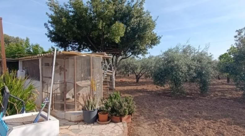 Alicante - Hondón de las Nieves - 3000m2