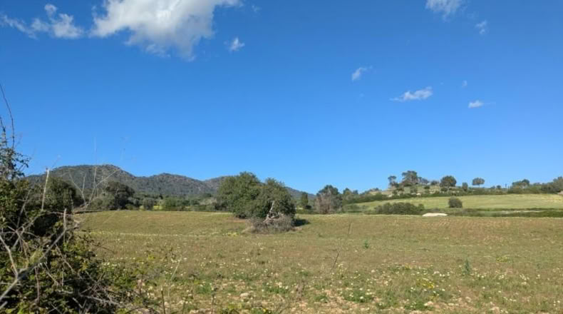 Балеарские острова - Sant Llorenç des Cardassar - 16100m2