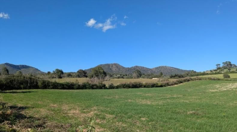 Балеарские острова - Sant Llorenç des Cardassar - 16100m2