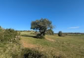 Terreny no urbanitzable en venda a la España, Sant Llorenç des Cardassar, ref.: TR405680 foto