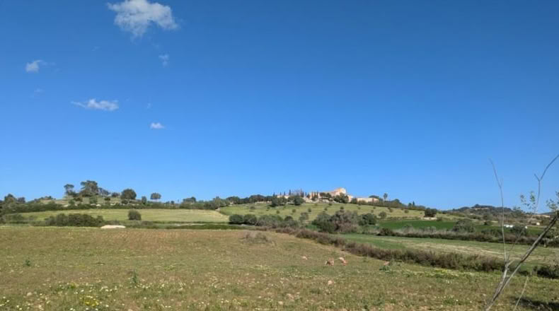 Балеарские острова - Sant Llorenç des Cardassar - 16100m2