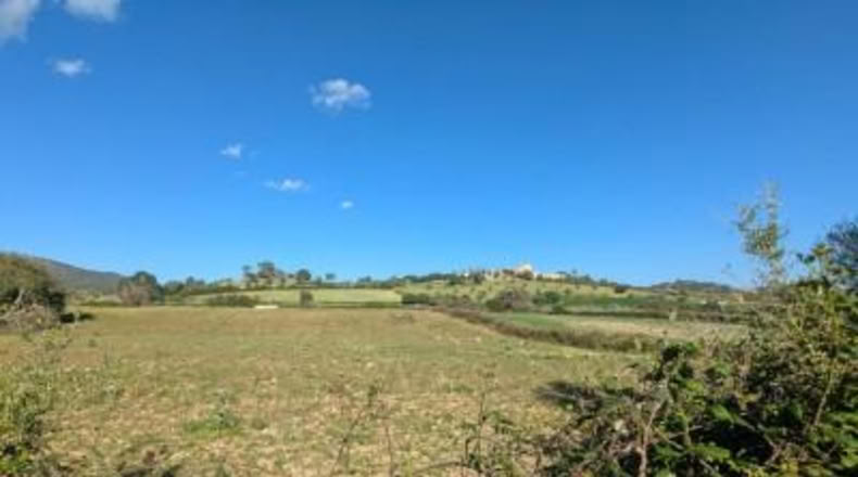 Балеарские острова - Sant Llorenç des Cardassar - 16100m2