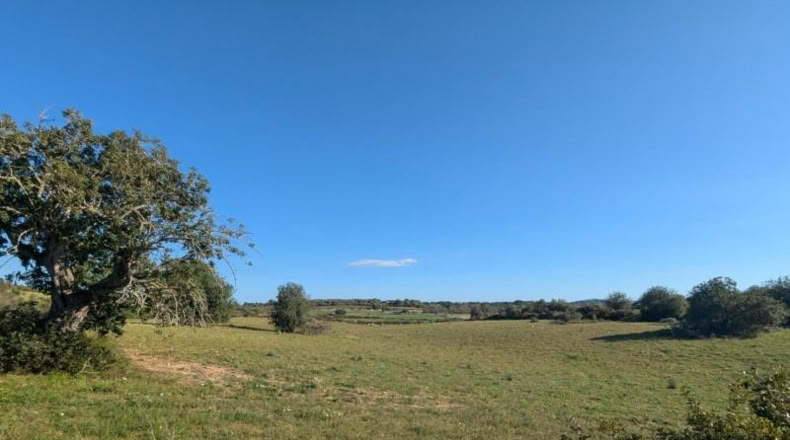 Балеарские острова - Sant Llorenç des Cardassar - 16100m2