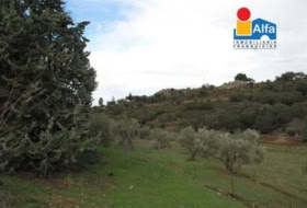 Càceres 70000&nbsp;m² 