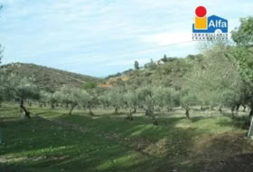 Càceres 70000&nbsp;m² 