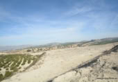 Terreno no urbanizable en venta en la España, Orihuela, ref: TR127228 foto