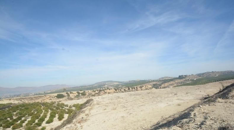 Alicante - Orihuela - 115000m2