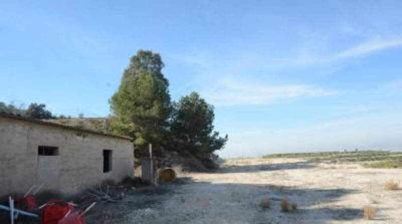 Alicante - Orihuela - 115000m2