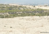 Terreno no urbanizable en venta en la España, Orihuela, ref: TR127228 foto