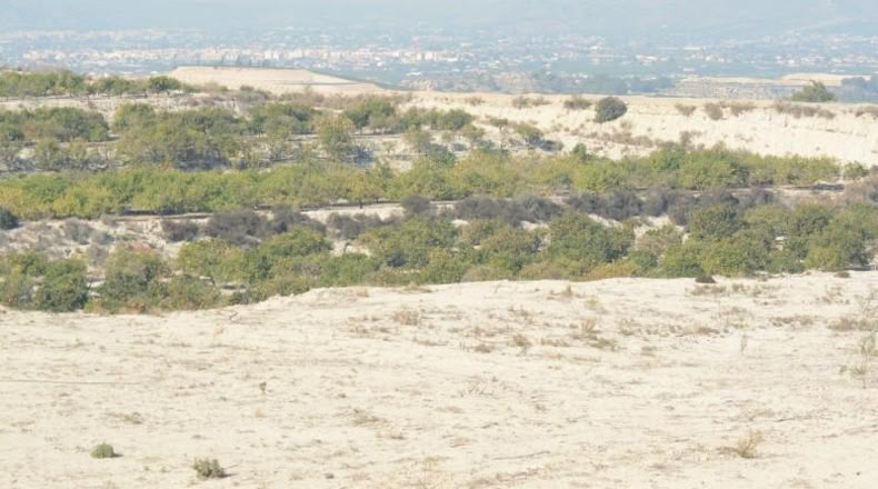 Alicante - Orihuela - 115000m2