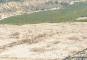 Terreno no urbanizable en venta en la España, Orihuela, ref: TR127228 foto