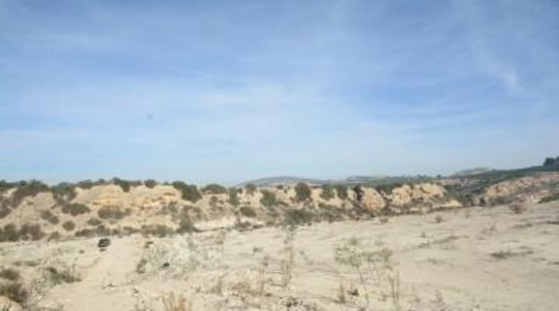 Alicante - Orihuela - 115000m2