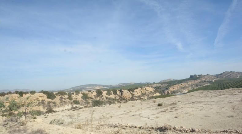 Alicante - Orihuela - 115000m2
