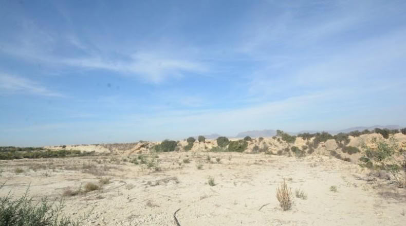 Alicante - Orihuela - 115000m2