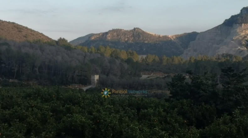 Alicante - Adsubia - 99264m2