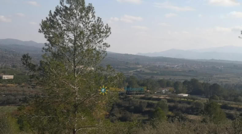 Alicante - Adsubia - 99264m2