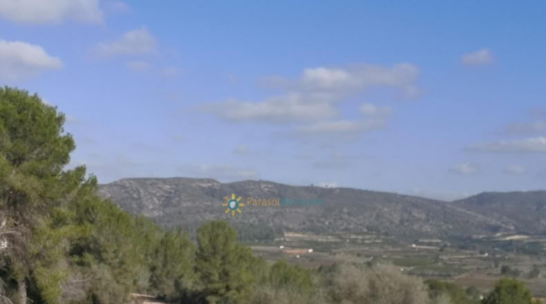 Alicante - Adsubia - 99264m2