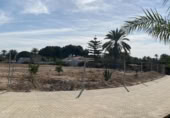 Parcel·la urbanitzable en venda a la España, Elx, ref.: TR367341 foto